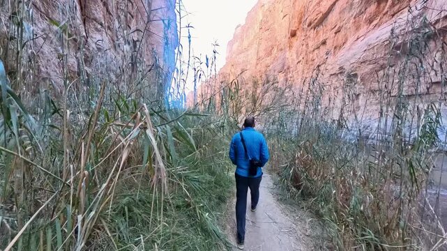 Following Man Through Plants Inside Santa Elena Canyon in Big Bend
