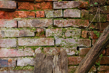 old brick wall with moss