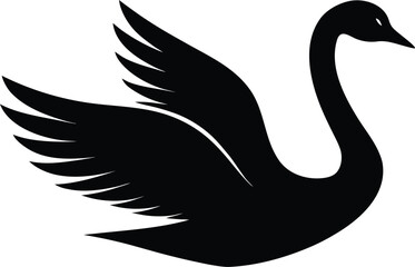 black swan vector illustration