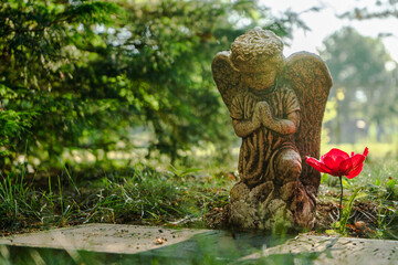 Baby Angel Statue Praying Beside Grave With Poppy Flower