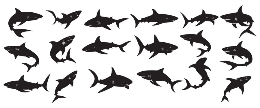 silhouettes of sharks in various dynamic poses showcasing