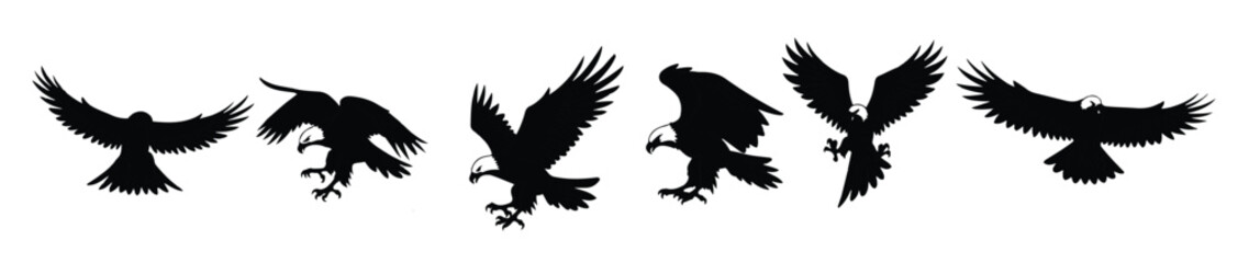 bold eagle hunting in a natural habitat 