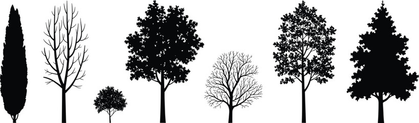 Obraz premium Tree silhouette collection, black vector trees, diverse foliage shapes, botanical illustration, landscape design elements, nature icons, forest graphic set