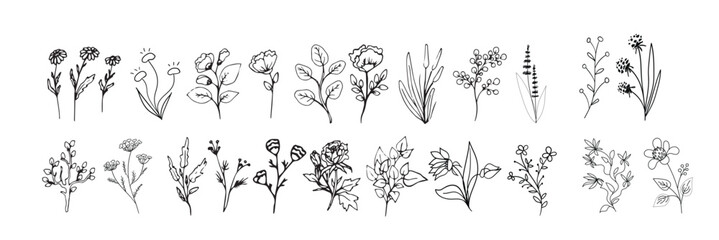 Set of flower vector illustration 