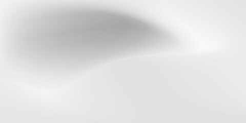 Smooth white gradient background. Soft liquid wallpaper.  Suit for banner, web, poster, pamflet, brochure and presentation