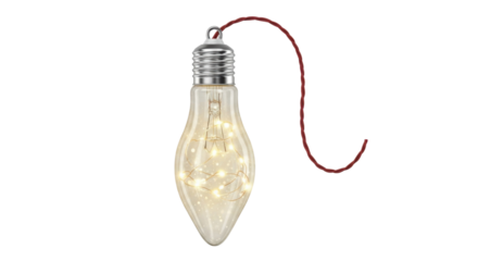 Hanging light bulb with LED lights isolated PNG with Transparent Background