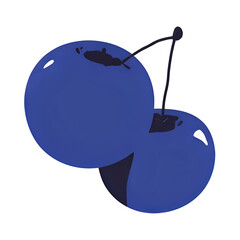 Two blueberries on a stem isolated on transparent background