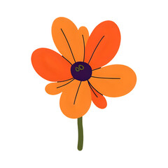 Orange flower with dark center isolated on transparent background
