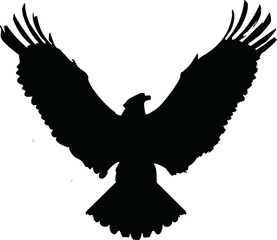 Eagle silhouette flying with open wings isolated on white background, Flying eagle silhouette minimal vector illustration, Majestic bird with open wings black silhouette design, Soaring eagle wildlife