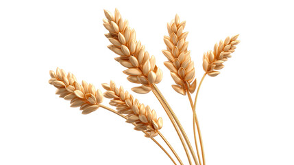 golden wheat ears 3d render icon in cartoon plastic style minimal isolated on transparent white background