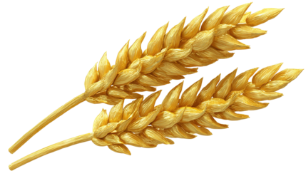 golden wheat ears 3d render icon in cartoon plastic style minimal isolated on transparent white background