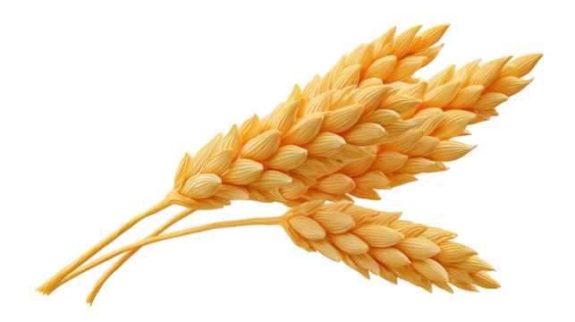 golden wheat ears 3d render icon in cartoon plastic style minimal isolated on transparent white background - Powered by Adobe