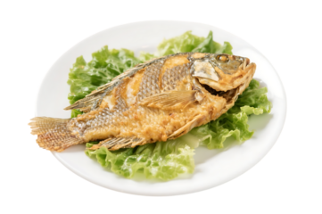 Crispy fried fish with lettuce on a white plate