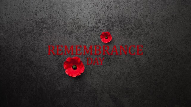 Remembrance Day inscription with Poppy flowers on rusty iron background. Decorative flowers for Remembrance Day. Memorial Day. Veterans day.