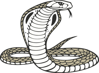 Fototapeta premium Snake graphic design | Dangerous wildlife reptile element