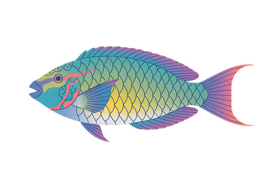 Colorful parrotfish illustration on transparent background