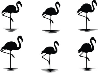 Flamingo silhouette set, tropical bird design, standing flamingo pose, wildlife illustration, exotic nature art, minimalist animal vector, tropical decor graphic, flamingo collection