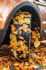 Autumn leaves stuck on wet car tire after rain, symbol of seasonal weather and vehicle maintenance concept