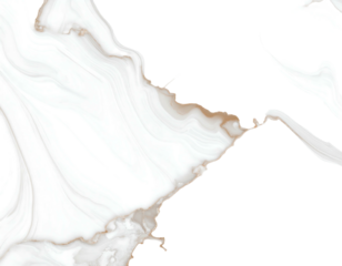 Abstract organic textures white marbling meets black void, with fluid swirls and earthy hues creating a painterly effect