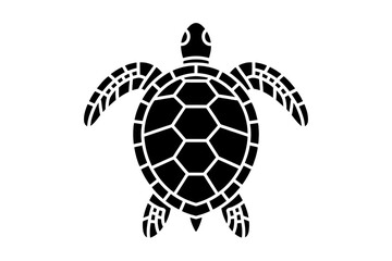 Fototapeta premium Sea turtle outline illustration for design or logo