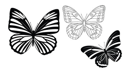 Obraz premium Three diverse butterfly illustrations in black and white ink, featuring striped and patterned wings.