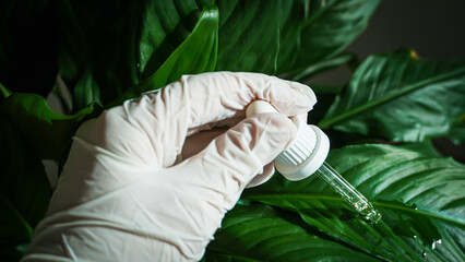 Scientist Hand with Dropper on Green Leaf
