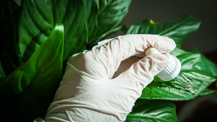 Scientist Hand with Dropper on Green Leaf