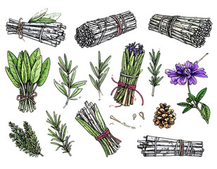 Botanical illustration of herbs & botanicals tied into bundles against a black background