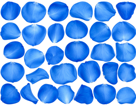 Array of luminous blue flower petals scattered on a black background, showcasing delicate textures and soft light effects