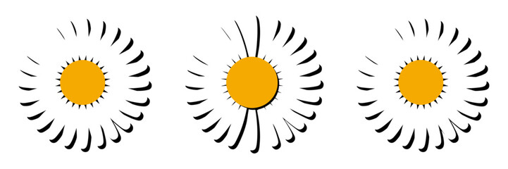Spiral petal daisies, graphic flower icons, modern chrysanthemum style, decorative elements set, simple shapes, vector illustration