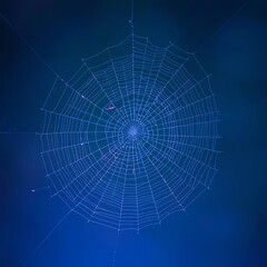 Fototapeta premium spider web on blue background