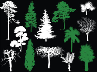trees fifteen different silhouettes isolated on black