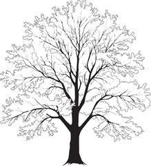 dense tree black outline isolated on white