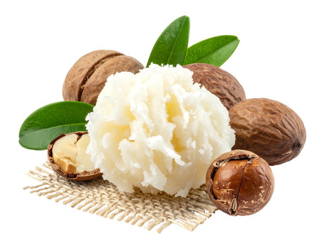 Close-up of shea butter, nuts, green leaves on burlap cloth against a black background in warm light