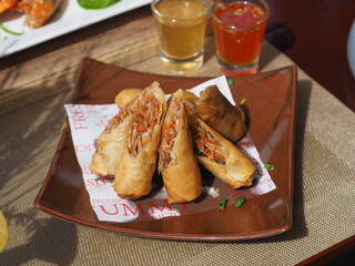 Crispy Vegetable Spring Roll