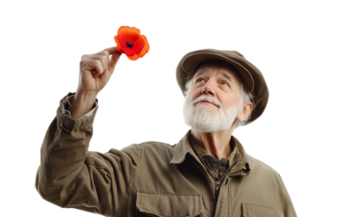 Military veteran saluting with a red poppy symbolizing honor courage and gratitude for service isolated on transparent background PNG