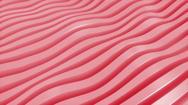 Abstract red and pink parallel waves undulating smoothly in a seamless glossy loop, modern flowing backdrop for digital design. 3d loop animation 4k