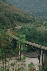 bridge over the river