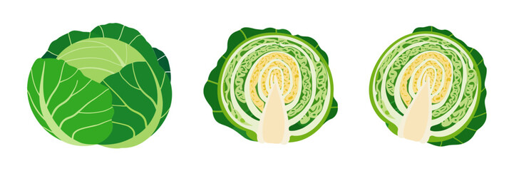Cabbage cross sections set, leafy rounds with stem core, fresh produce icons, cooking ingredients, vector illustration, isolated