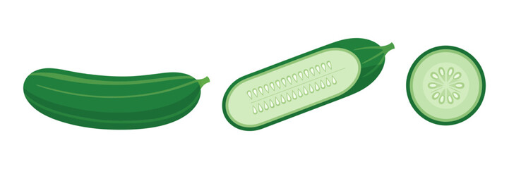 Cucumber collection, long whole cucumber, cut half, seed pattern slice, salad ingredient icons, minimal healthy diet vector
