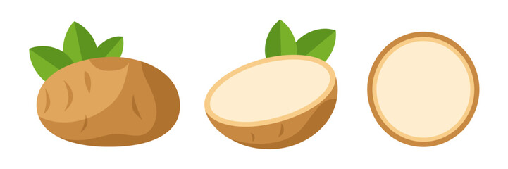 Potato vegetables set, whole tuber with leaf, cross section slices, rustic kitchen ingredient icons, healthy food vector