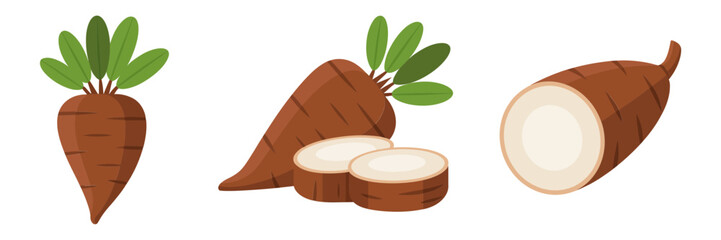 Cassava root icons, whole tubers with leaves, peeled slice cross section, tropical staple vegetable, farm produce vector