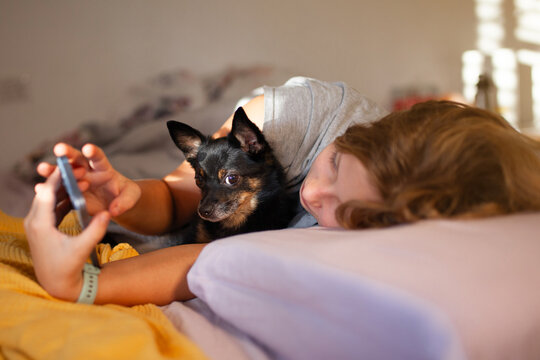 Morning moment &mdash; preteen girl with her chihuahua dog in bed using smartphone