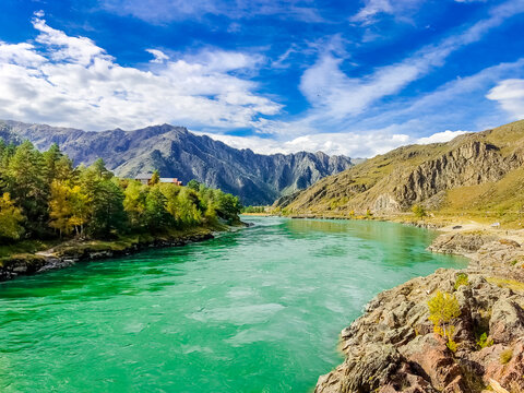 A fast-flowing cold river winding through the autumnal landscape of the Altai Republic, Russia surrounded by golden trees and rugged mountain scenery