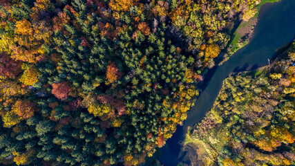 Aerial view of Zagórze Śląskie in autumn with colorful forest and river flowing into Bystrzyckie Lake, Lower Silesia, Poland.