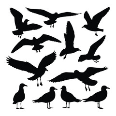 Diverse silhouette collection of seagulls in flight and perched for artistic projects vector