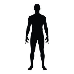 Full body silhouette of a standing muscular male human figure front view vector
