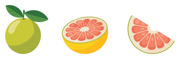Pomelo grapefruit set, whole fruit with leaf, juicy half, sliced wedge, tropical citrus illustration, fresh market vector