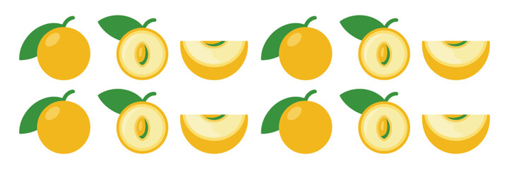 Yellow loquat border set, whole and half slices, cute seamless row, cheerful fruit strip, summer garden vector