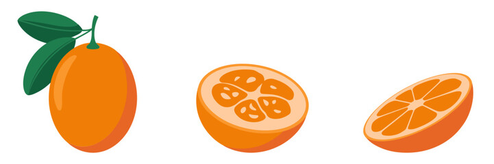 Citrus fruit with leaf, juicy cross section and wedge, fresh kitchen ingredient, nutrition themed illustration vector